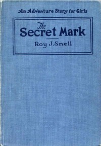 Cover of The Secret Mark An Adventure Story for Girls — Story, Setting & Ideas