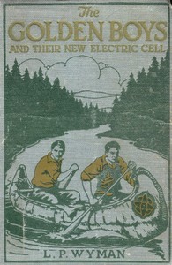 Cover of The Golden Boys and Their New El...