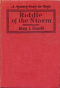 Cover of Riddle of the Storm A Mystery Story for Boys — Reading Companion